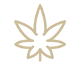 Drug Cases - Personal Injury, Family Law and Criminal Defense Lawyer - Shreveport, Louisiana